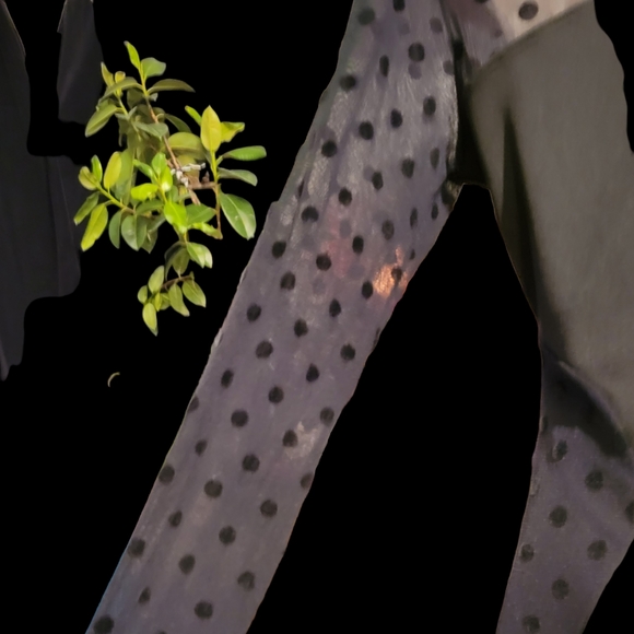 Suzy Shier S Dress Mini  Party Black, Upper Half Lace - Picture 13 of 15